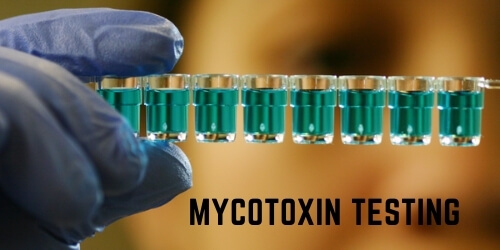 Mycotoxin Testing Services